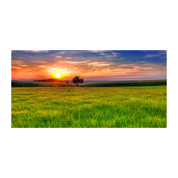 Glass picture wall art Sunset meadow