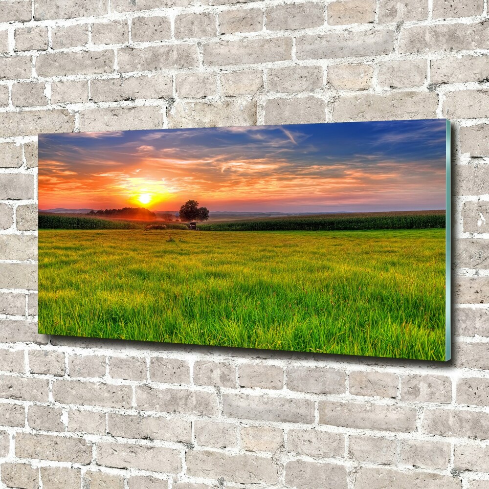 Glass picture wall art Sunset meadow