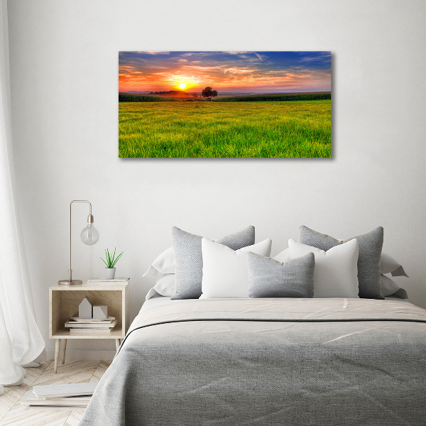 Glass picture wall art Sunset meadow