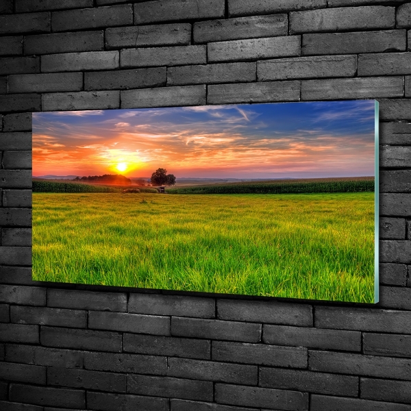 Glass picture wall art Sunset meadow