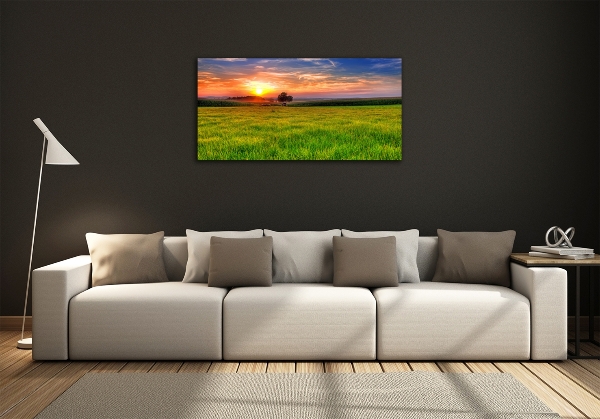 Glass picture wall art Sunset meadow