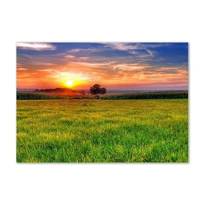 Glass picture wall art Sunset meadow