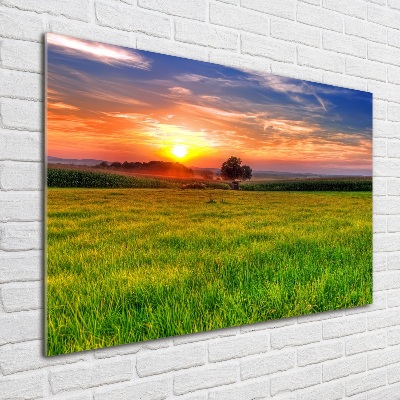 Glass picture wall art Sunset meadow