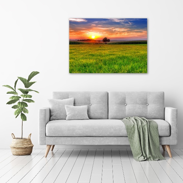 Glass picture wall art Sunset meadow