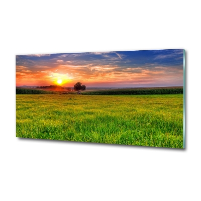 Glass picture wall art Sunset meadow