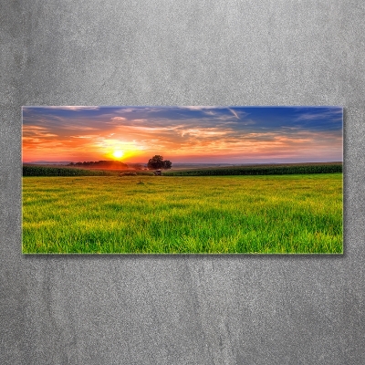 Glass picture wall art Sunset meadow