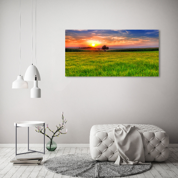 Glass picture wall art Sunset meadow