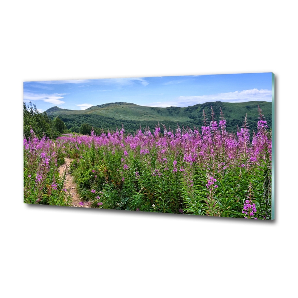 Glass picture wall art Green hills