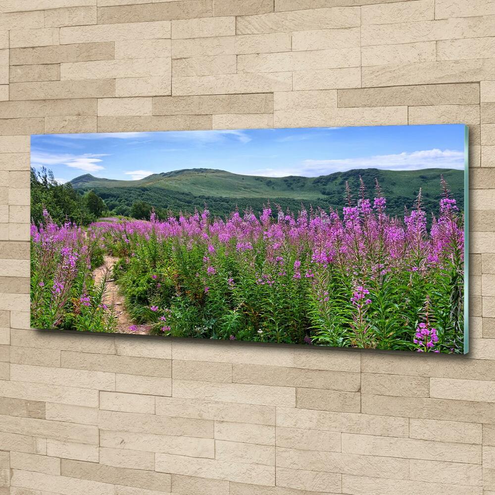 Glass picture wall art Green hills