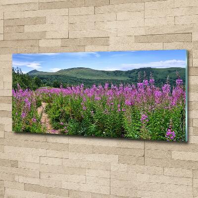 Glass picture wall art Green hills