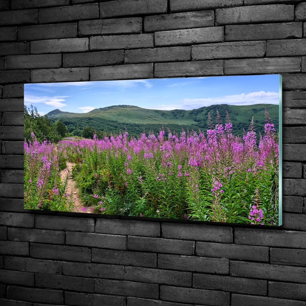 Glass picture wall art Green hills