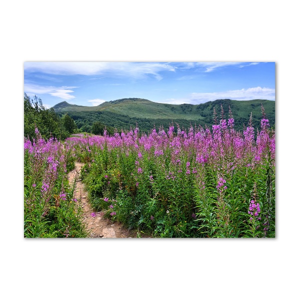 Glass picture wall art Green hills