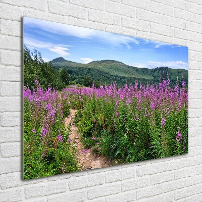 Glass picture wall art Green hills