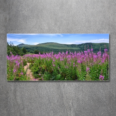 Glass picture wall art Green hills