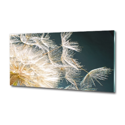 Photo printed on glass Dandelion seeds