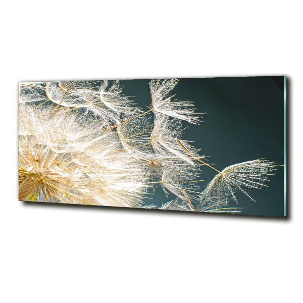 Photo printed on glass Dandelion seeds