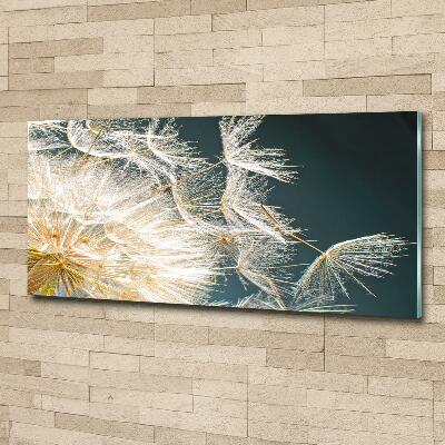 Photo printed on glass Dandelion seeds