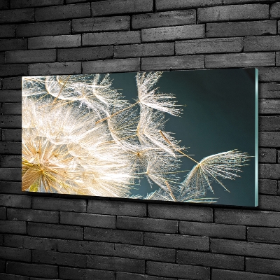 Photo printed on glass Dandelion seeds