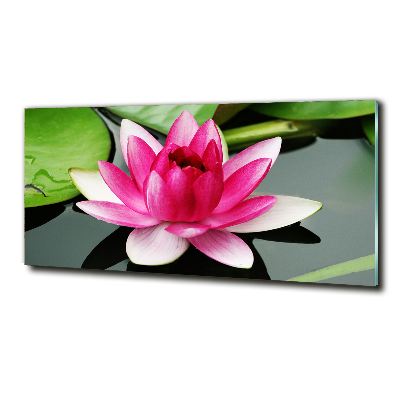 Glass art picture Water lily