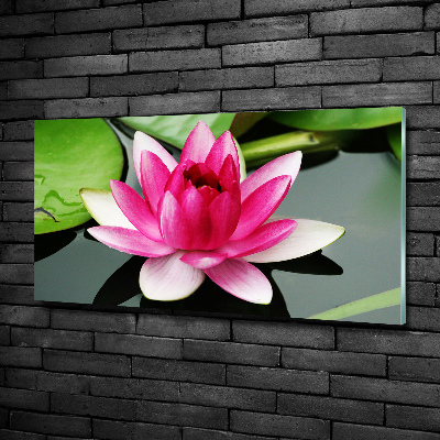 Glass art picture Water lily