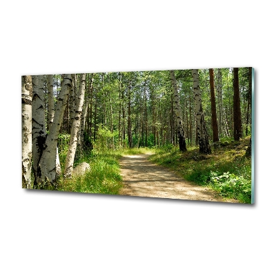 Printed glass wall art Path in the forest