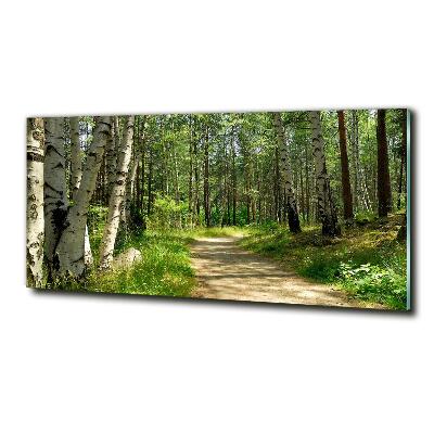 Printed glass wall art Path in the forest