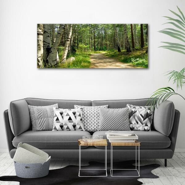 Printed glass wall art Path in the forest