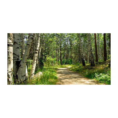 Printed glass wall art Path in the forest