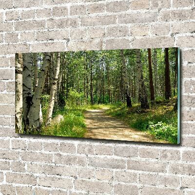 Printed glass wall art Path in the forest