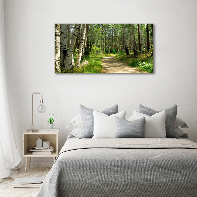 Printed glass wall art Path in the forest