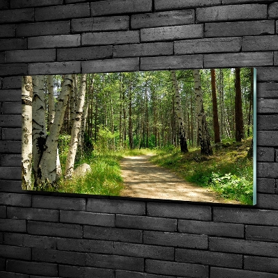 Printed glass wall art Path in the forest