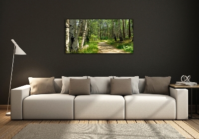 Printed glass wall art Path in the forest