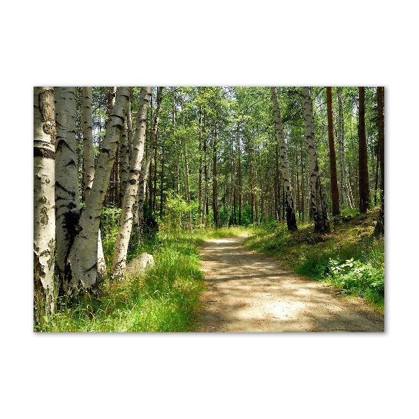 Printed glass wall art Path in the forest