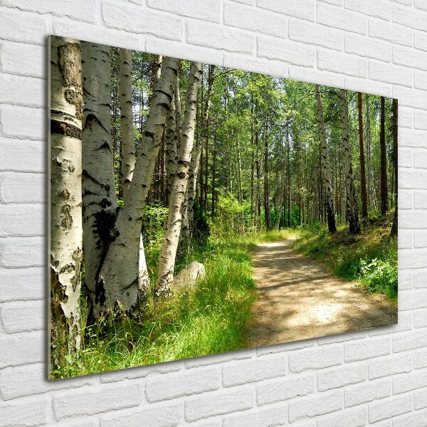 Printed glass wall art Path in the forest