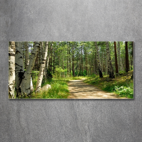 Printed glass wall art Path in the forest