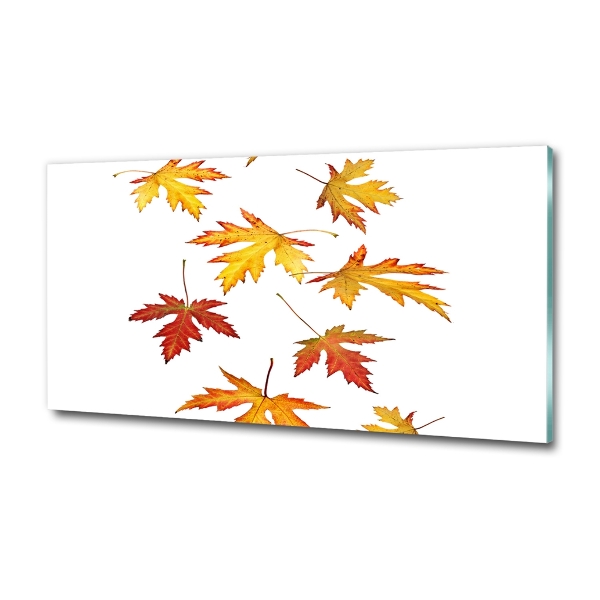 Autumn leaves