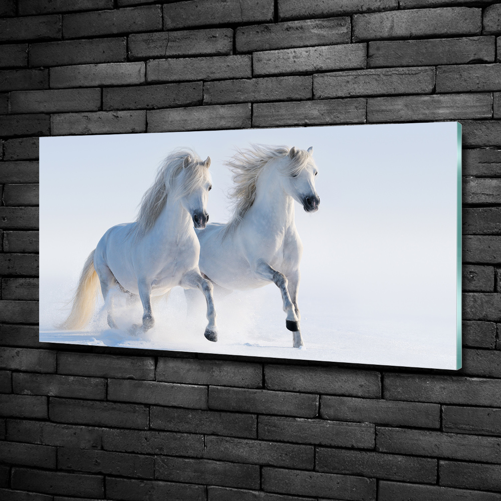 Glass art picture Two horses in the snow