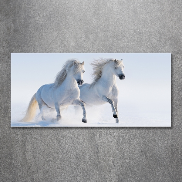 Glass art picture Two horses in the snow