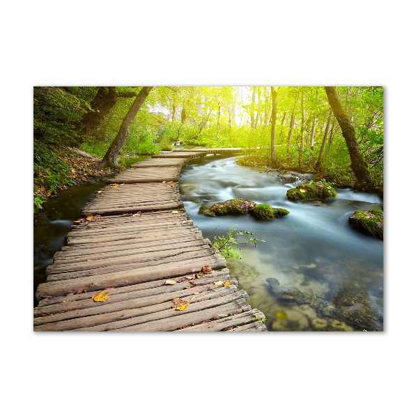 Glass wall art large Path over the river