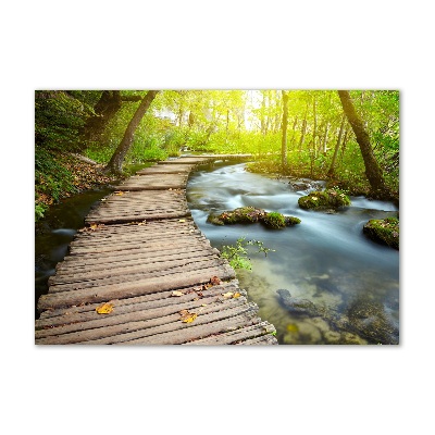 Glass wall art large Path over the river