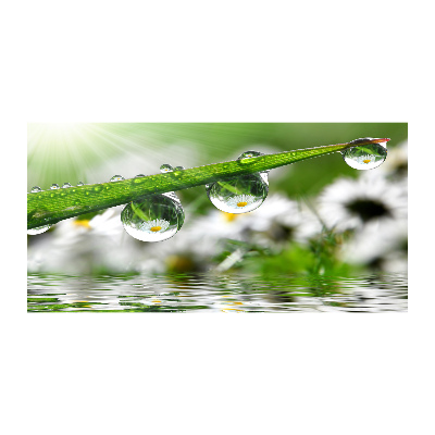 Photo printed on glass Drops on the grass