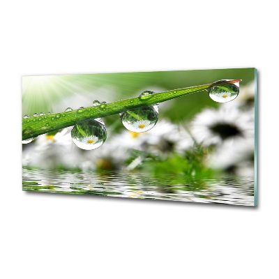 Photo printed on glass Drops on the grass