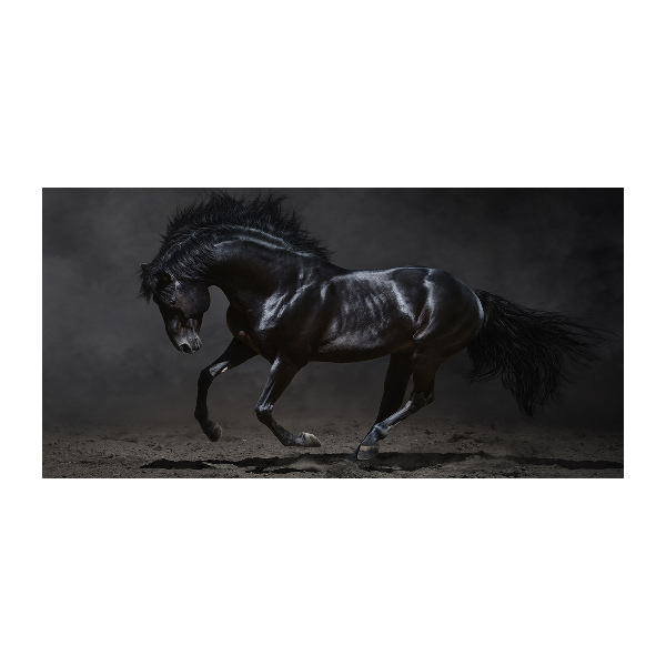 Glass art picture Black horse