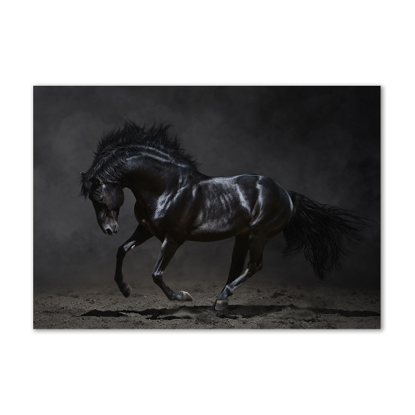 Glass art picture Black horse