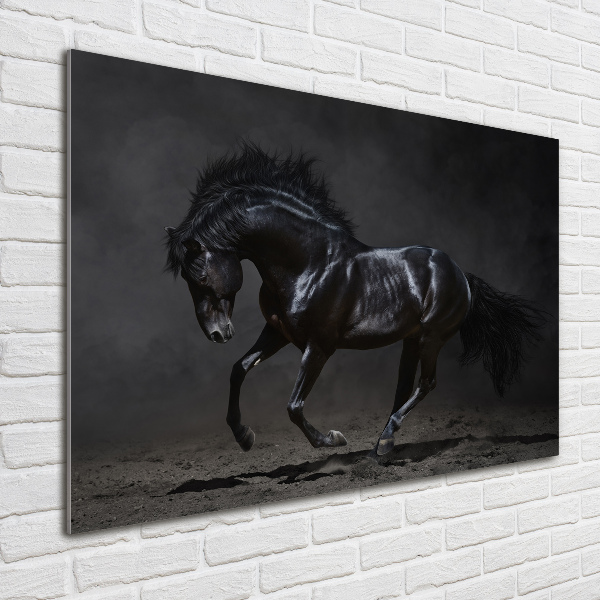 Glass art picture Black horse