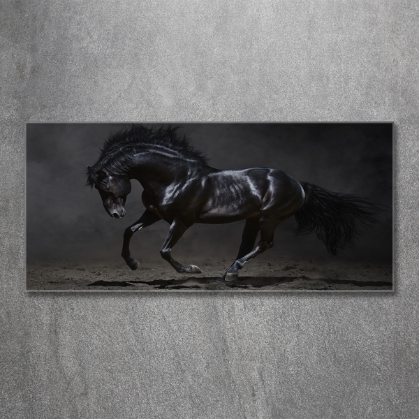 Glass art picture Black horse