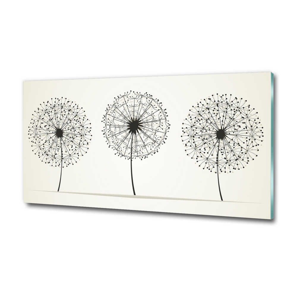 Photo printed on glass Dandelions