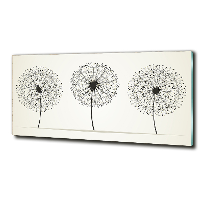 Photo printed on glass Dandelions