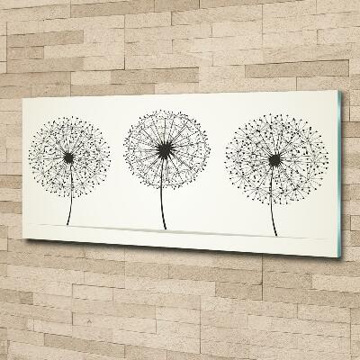 Photo printed on glass Dandelions