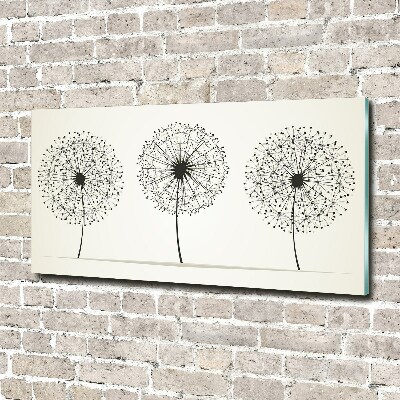 Photo printed on glass Dandelions